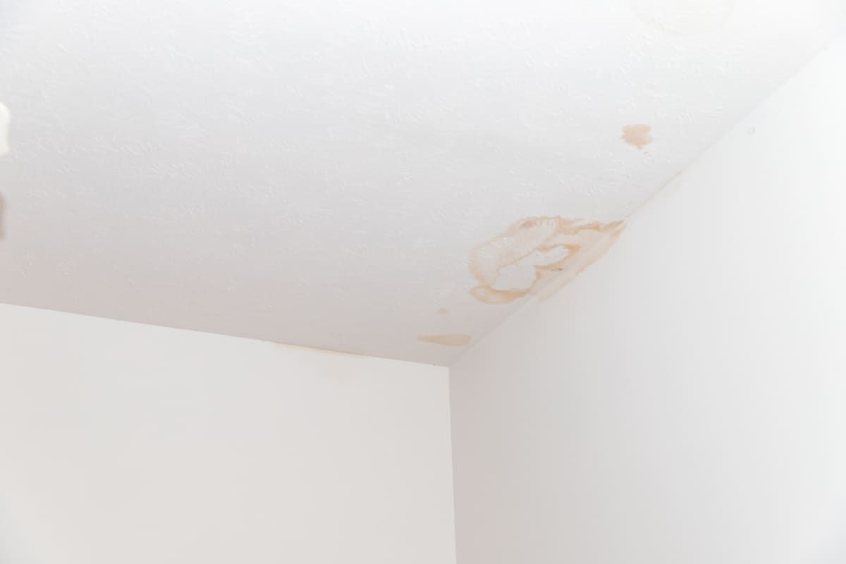 Water stain spreading across a ceiling corner