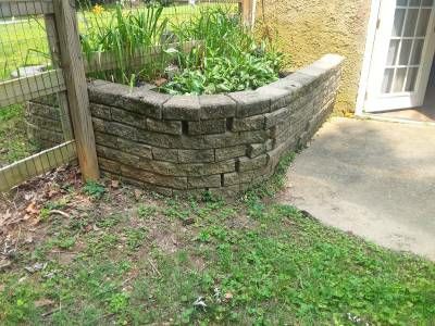 A curved stacked-block garden wall planted with hostas, leaning outward beside a concrete walk